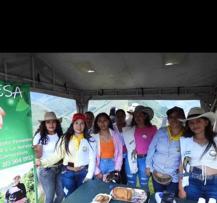 Aemfaesa : mujeres comprometidas con el desarrollo  del sur Tolima