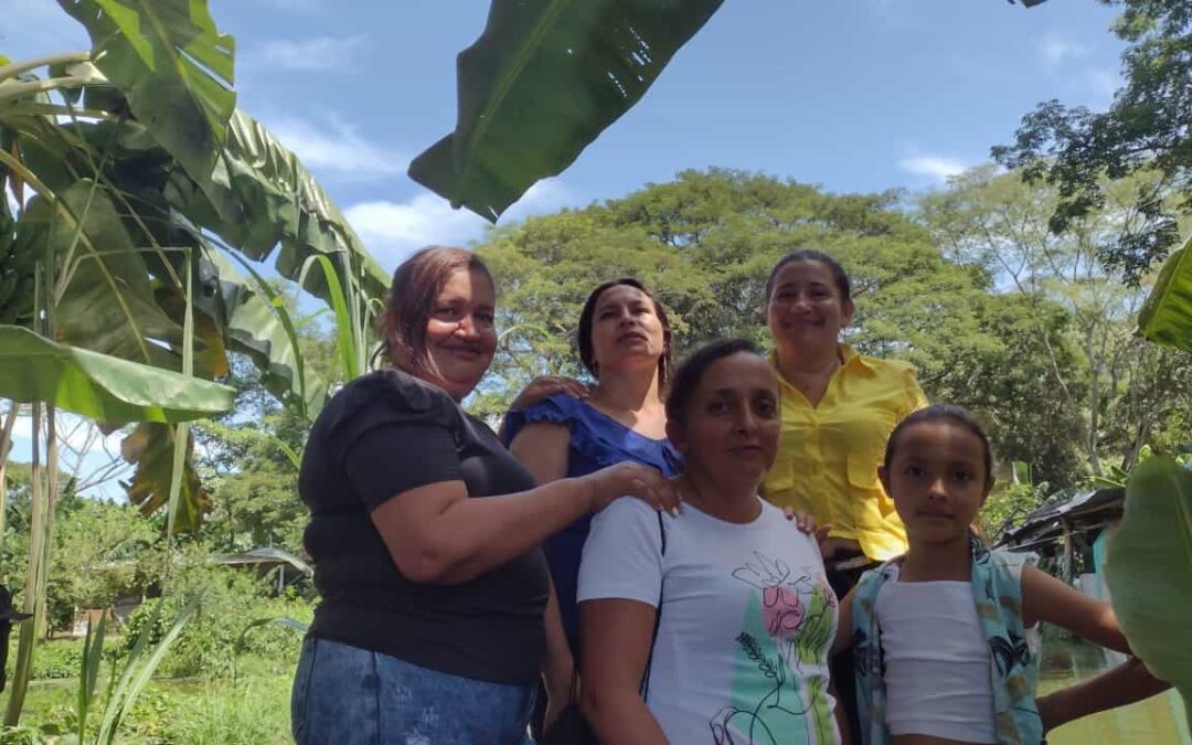 Transformando vidas: La organización de las caficultoras del sur del Tolima. Asociación de Mujeres Emprendedoras del Paujil