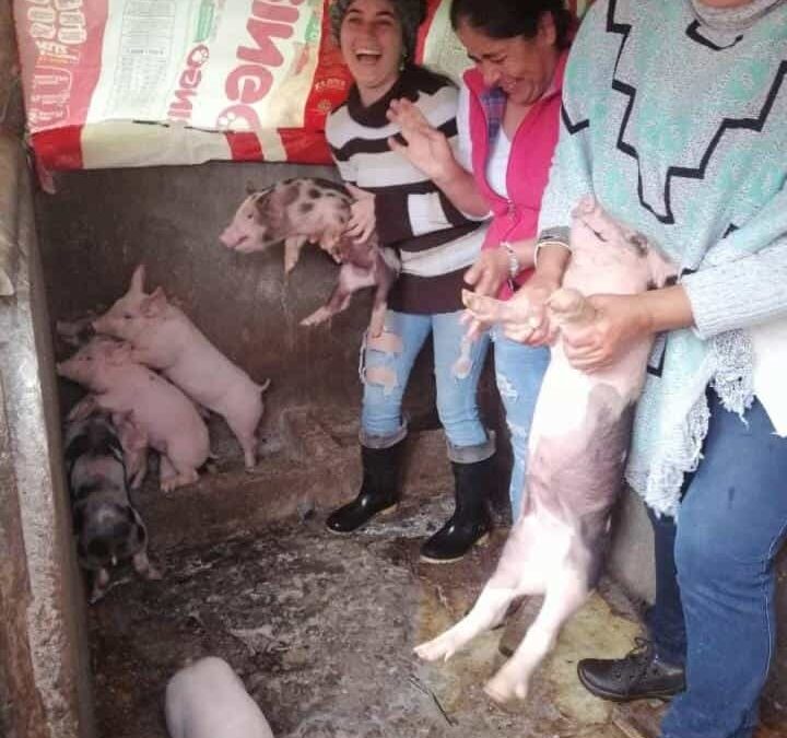 Asociación de Mujeres de San José del Cañón de las Hermosas: un modelo de emprendimiento comunitario