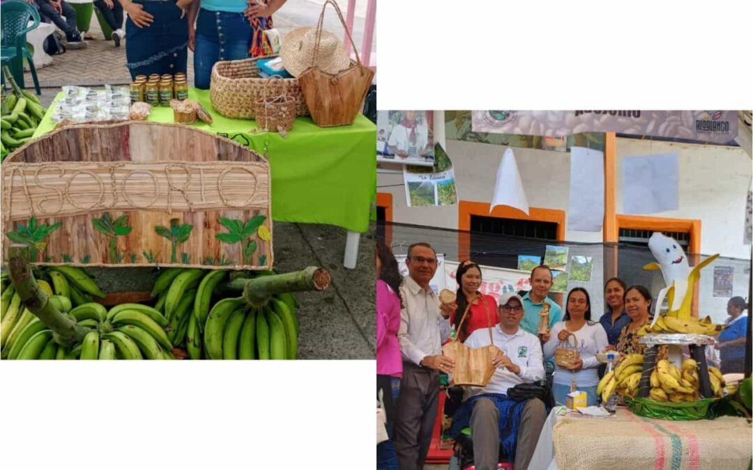 Asojorio: Asociación de Jóvenes de Rioblanco